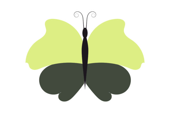 Download Butterfly Tropical Pretty Design - Premium Resources